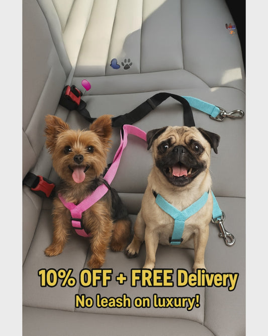 Dog Car Seat Belt Safety Protector Travel Pets Accessories Dog Leash Collar Breakaway Solid Car Harness